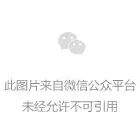 【应用分享】IT-M3900B系列回馈式源载系统Web控制功能实现双向DC-DC模块在线测试